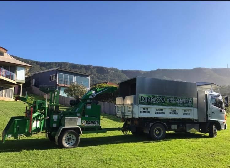 A Truck With a Chipper Attached to It is Parked in a Grassy Field — Dingo's Tree Services In North Wollongong, NSW