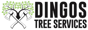Tree Cutting Services in Wollongong