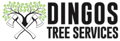 Tree Cutting Services in Wollongong