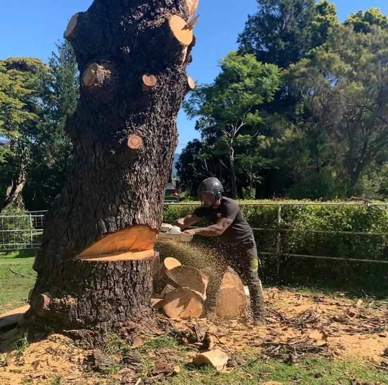 A Person is Using a Chainsaw to Cut a Piece of Wood — Dingo's Tree Services In Shellharbour, NSW
