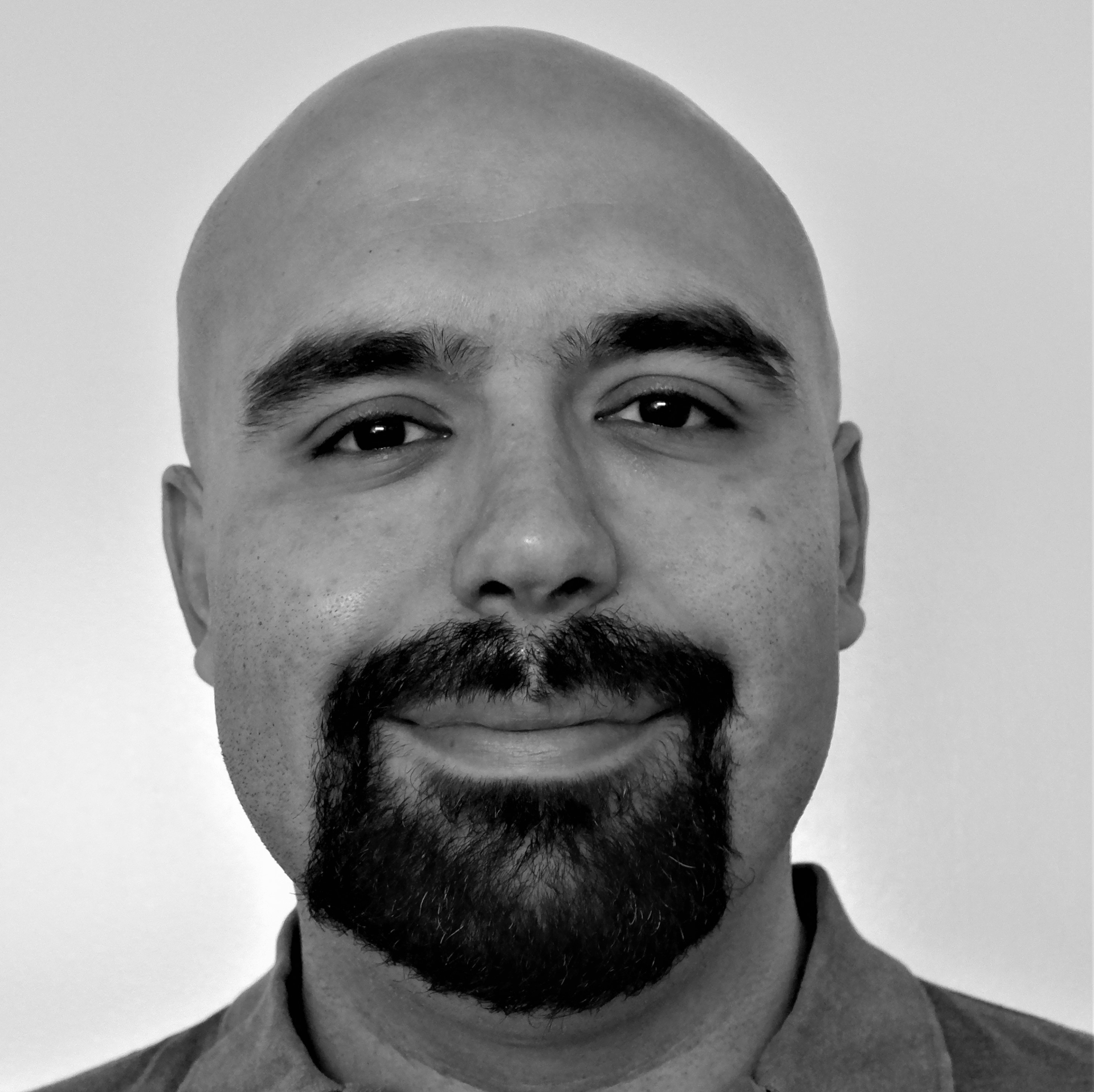 Additive manufacturing of polymer nanocomposites