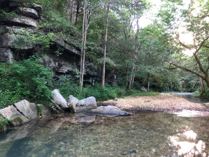 Shallow clear stream by a rocky forest bank with trees and sunlight reflecting on the water