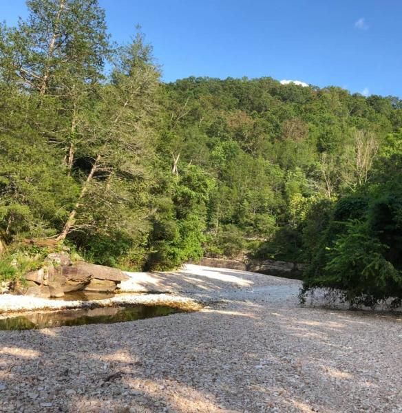 Gravel riverbank winding through a green wooded valley under a clear blue sky
