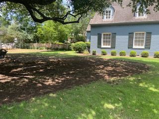 A Blue House With White Shutters is Sitting on Top of a Lush Green Lawn