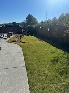 A Concrete Walkway Leading to a Lush Green Lawn With a Fence in the Background
