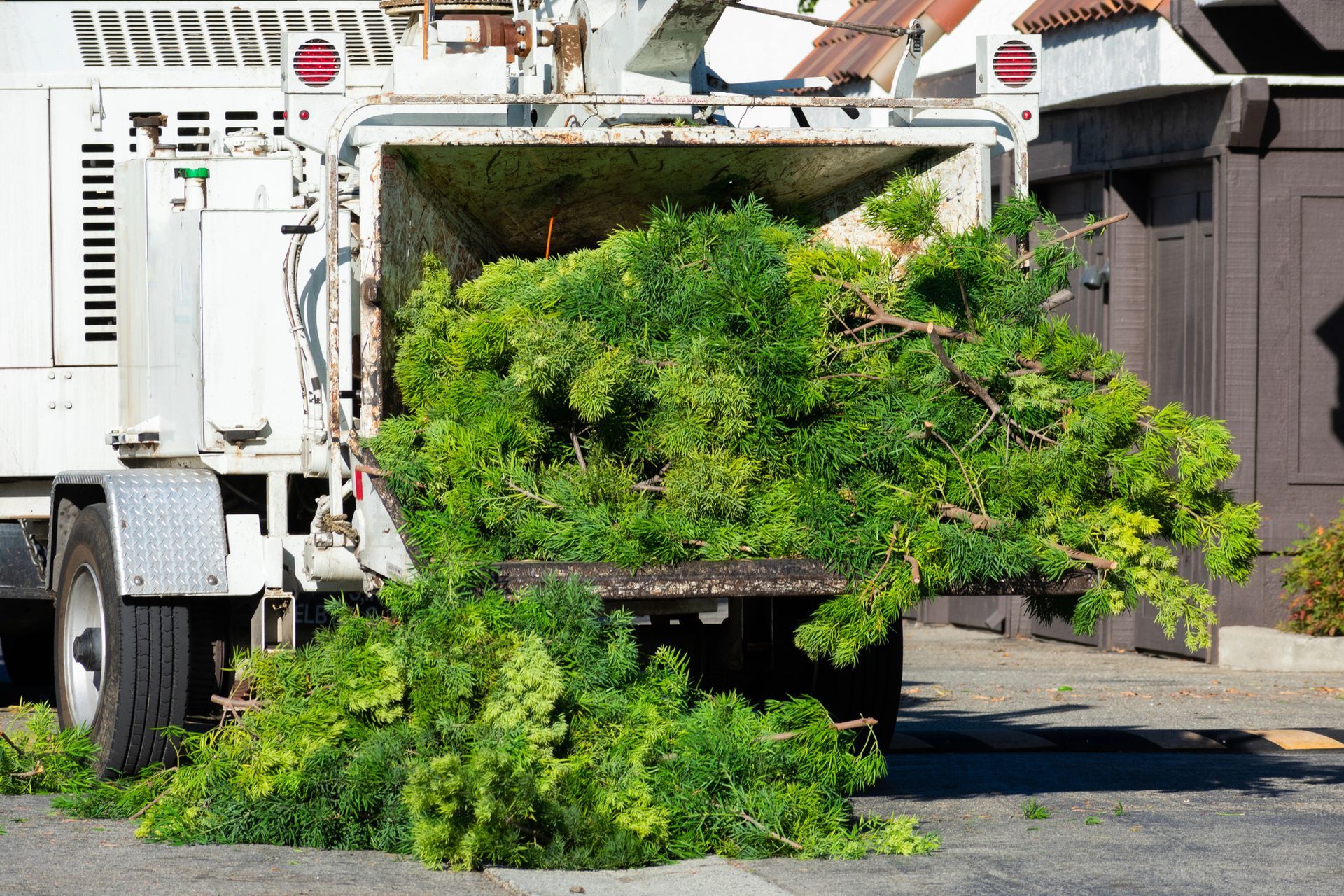 Forestry Mulching in Pineville, LA