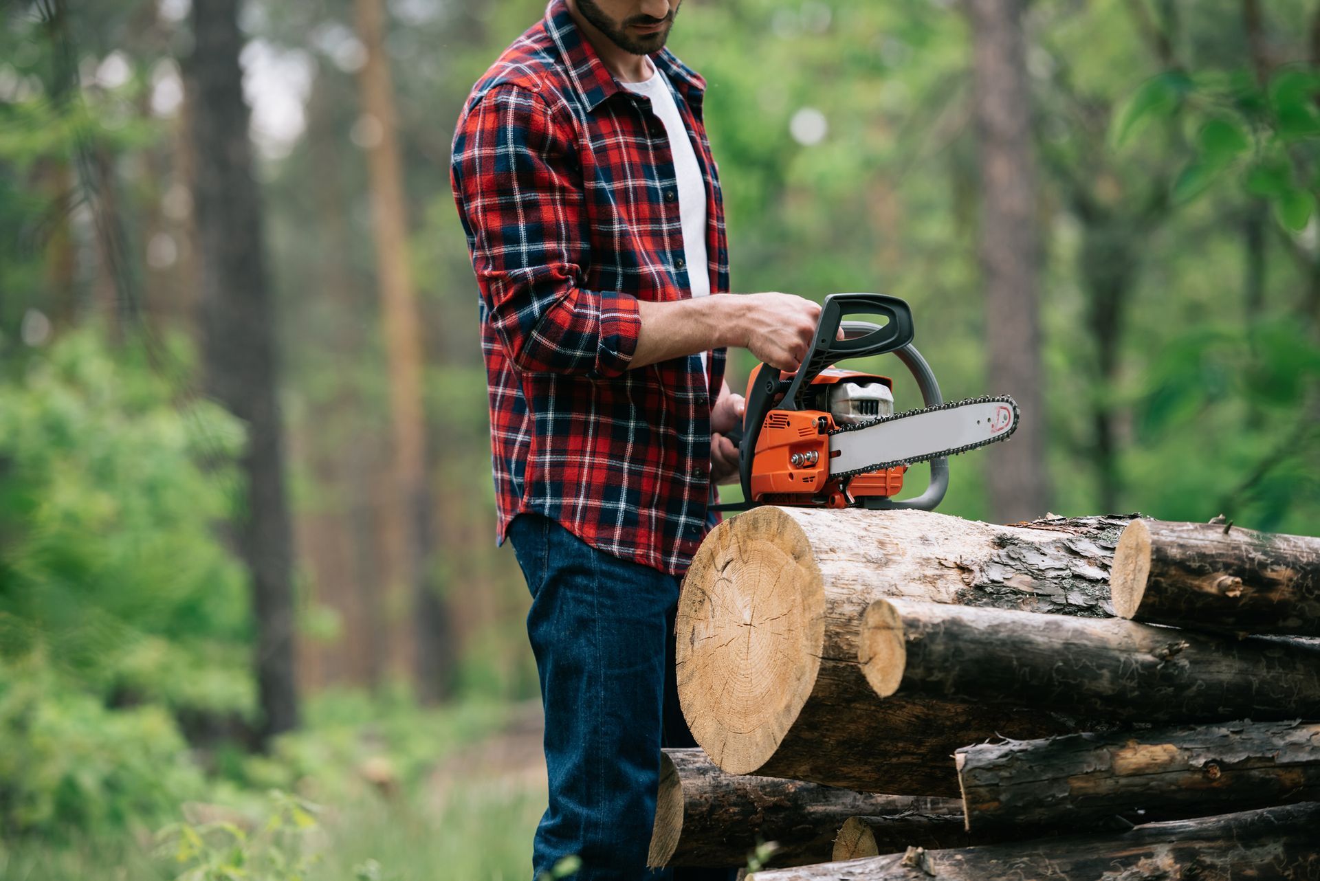 Tree Removal in Alexandria, LA