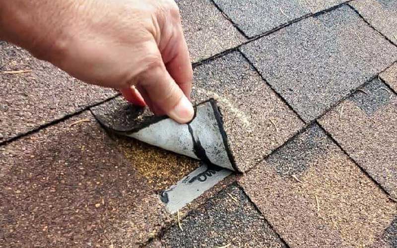A person is peeling off a piece of shingles from a roof.
