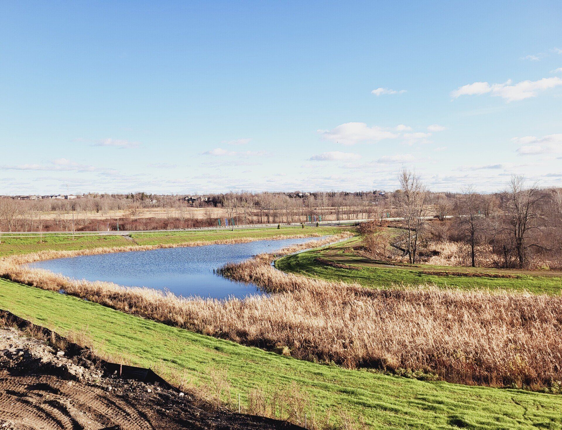 There is a small pond in the middle of a field.