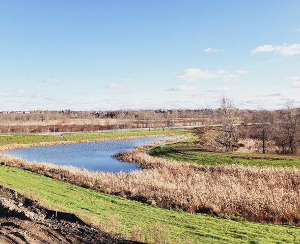 There is a lake in the middle of a grassy field.