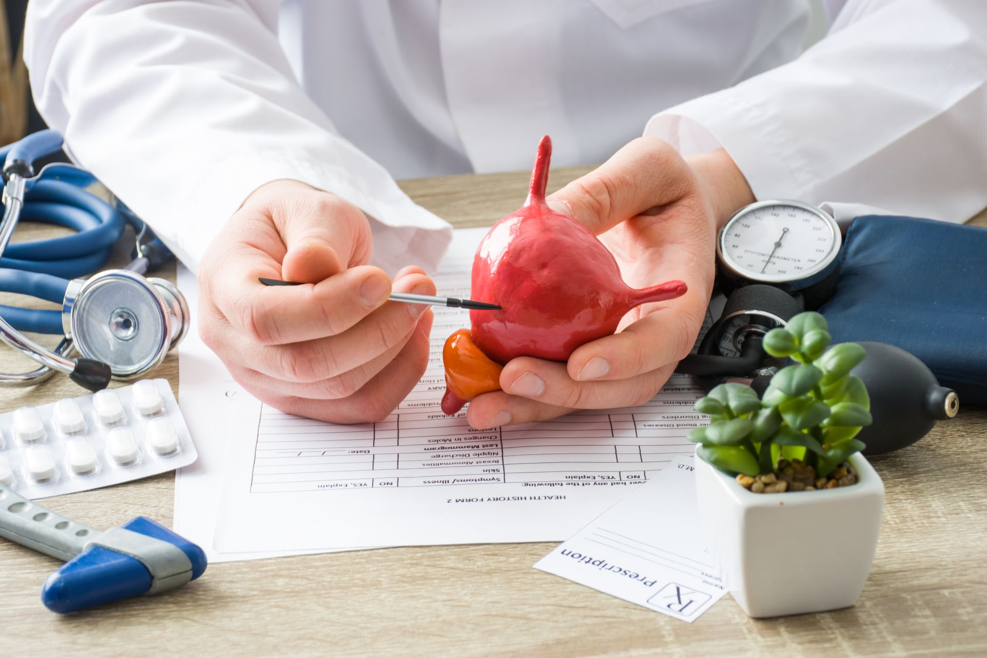 A doctor is holding a model of a bladder with a thermometer in his hands.