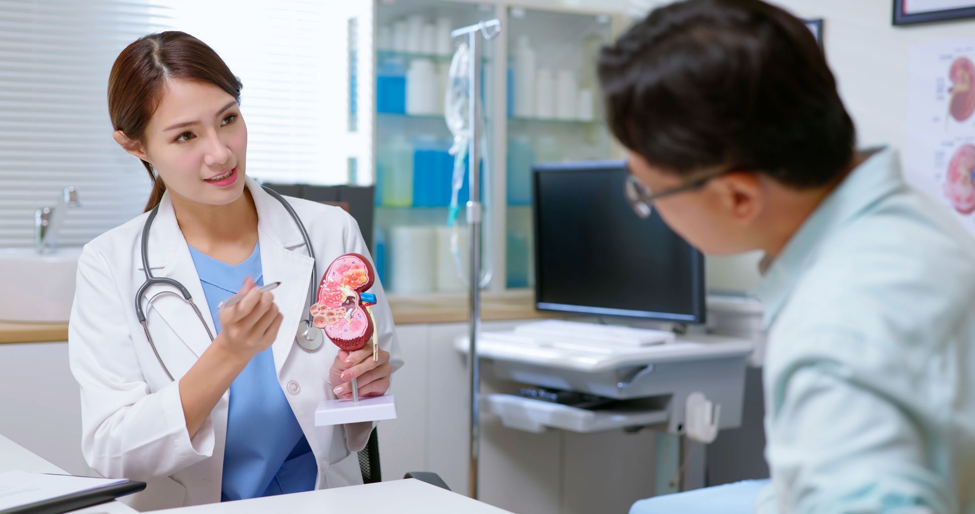 A doctor is talking to a patient in a hospital room while holding a model of a kidney.