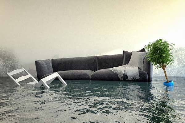 Flooded living room with a gray couch, toppled white chair, and potted plant in standing water