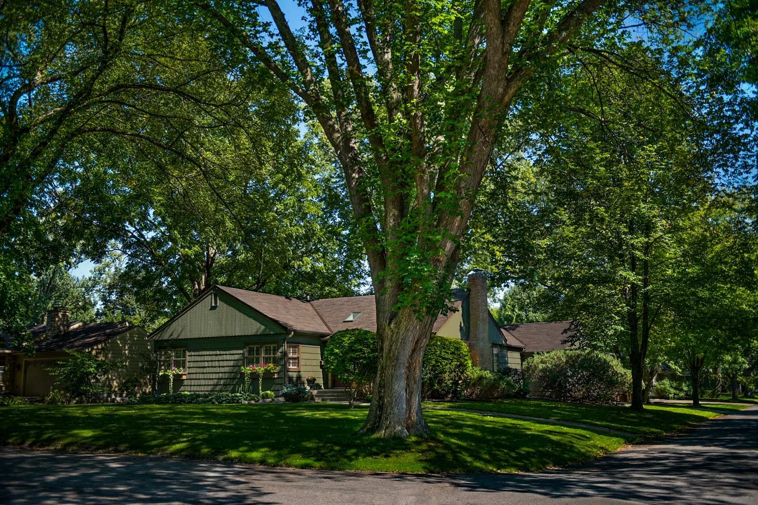 A house with a lot of trees in front of it.