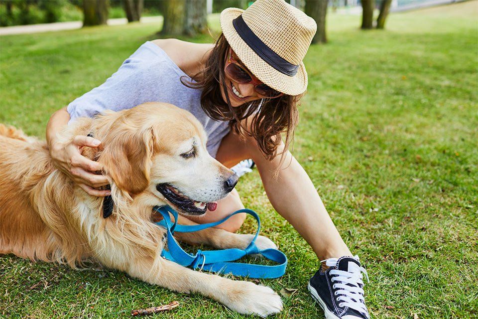 Pet Luggage — Cheerful Woman With Her Dog In Park in Vero Beach, FL