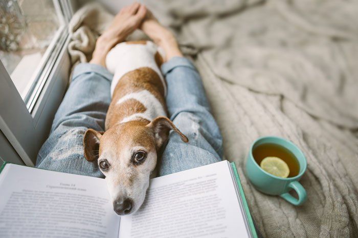 can reading help your dog