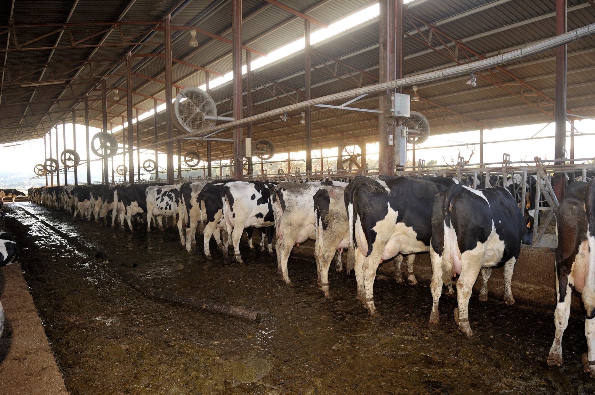 Ventilazione impianti biogas