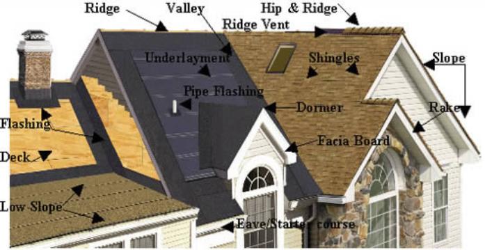 roof anatomy