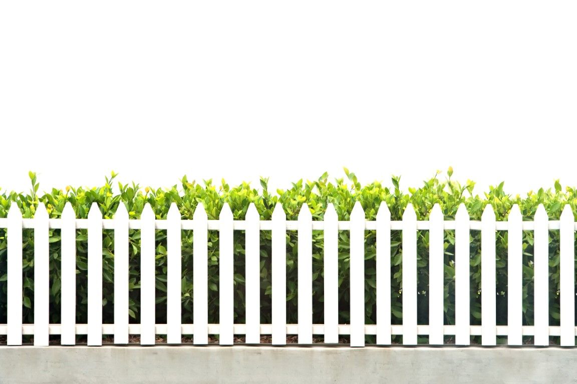 White picket fence with green bushes behind it against a white background.