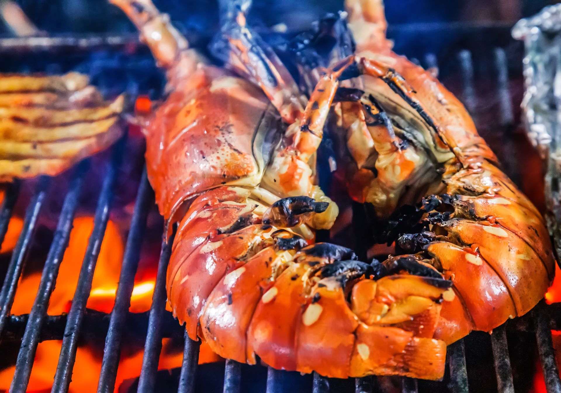 Grilled lobster