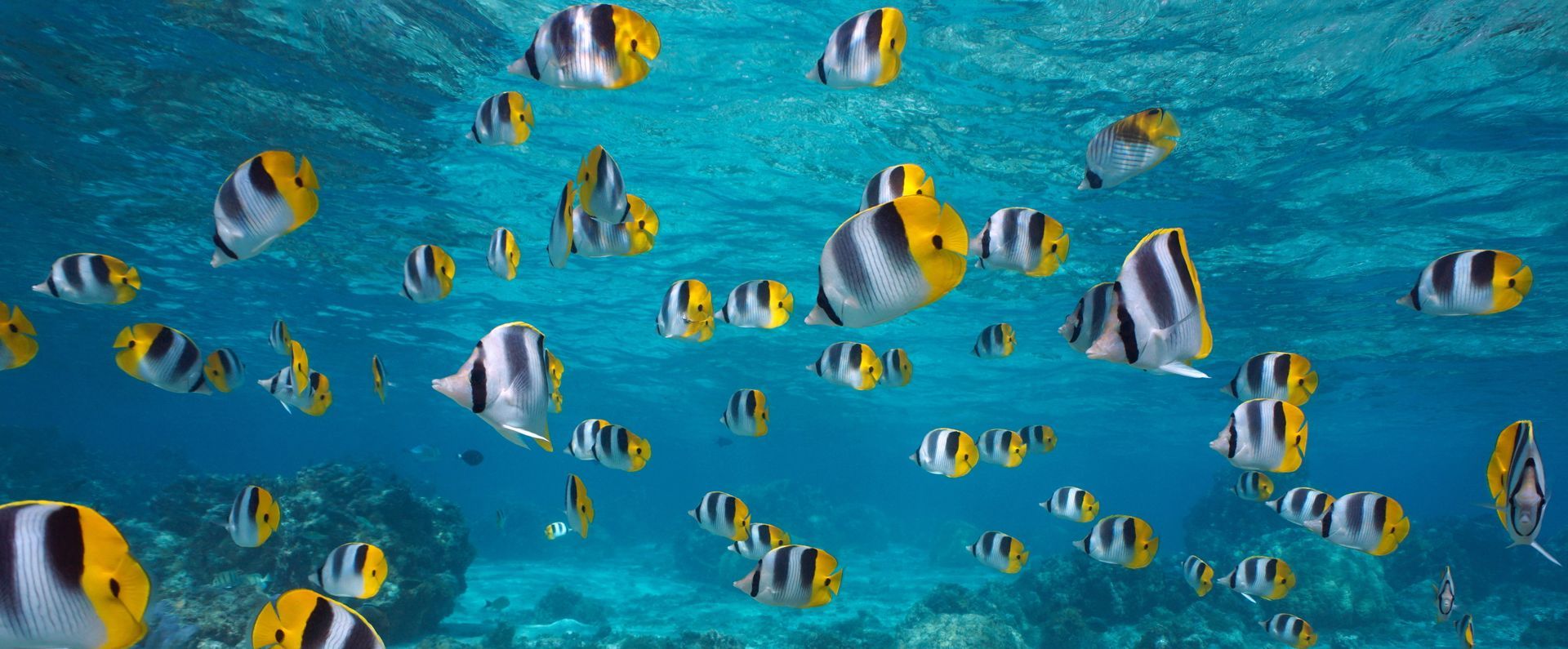 Sustainability  at Wymara Resort + Villas, Turks and Caicos