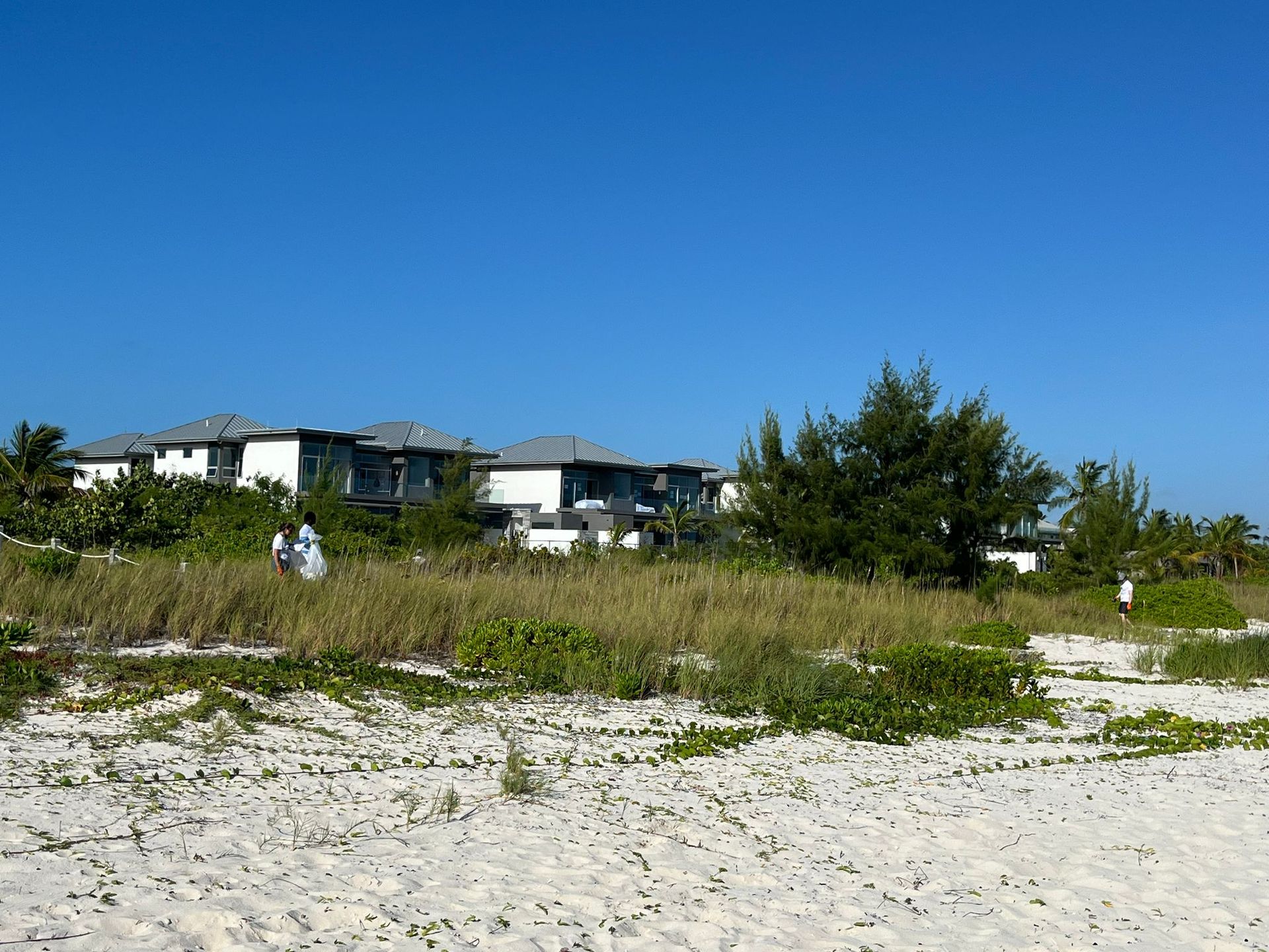 Beach Clean up project at Grace Bay