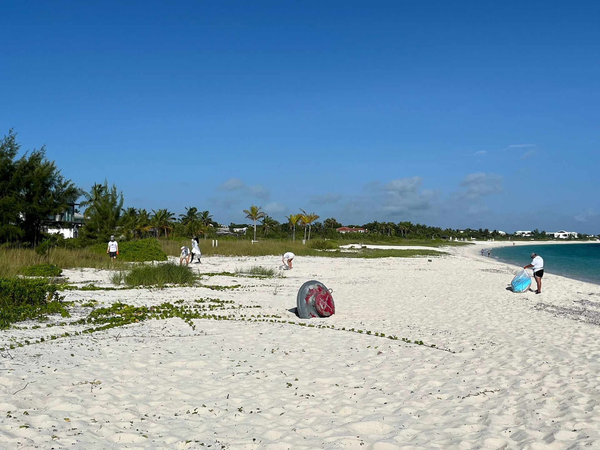 Beach Clean up project at Grace Bay