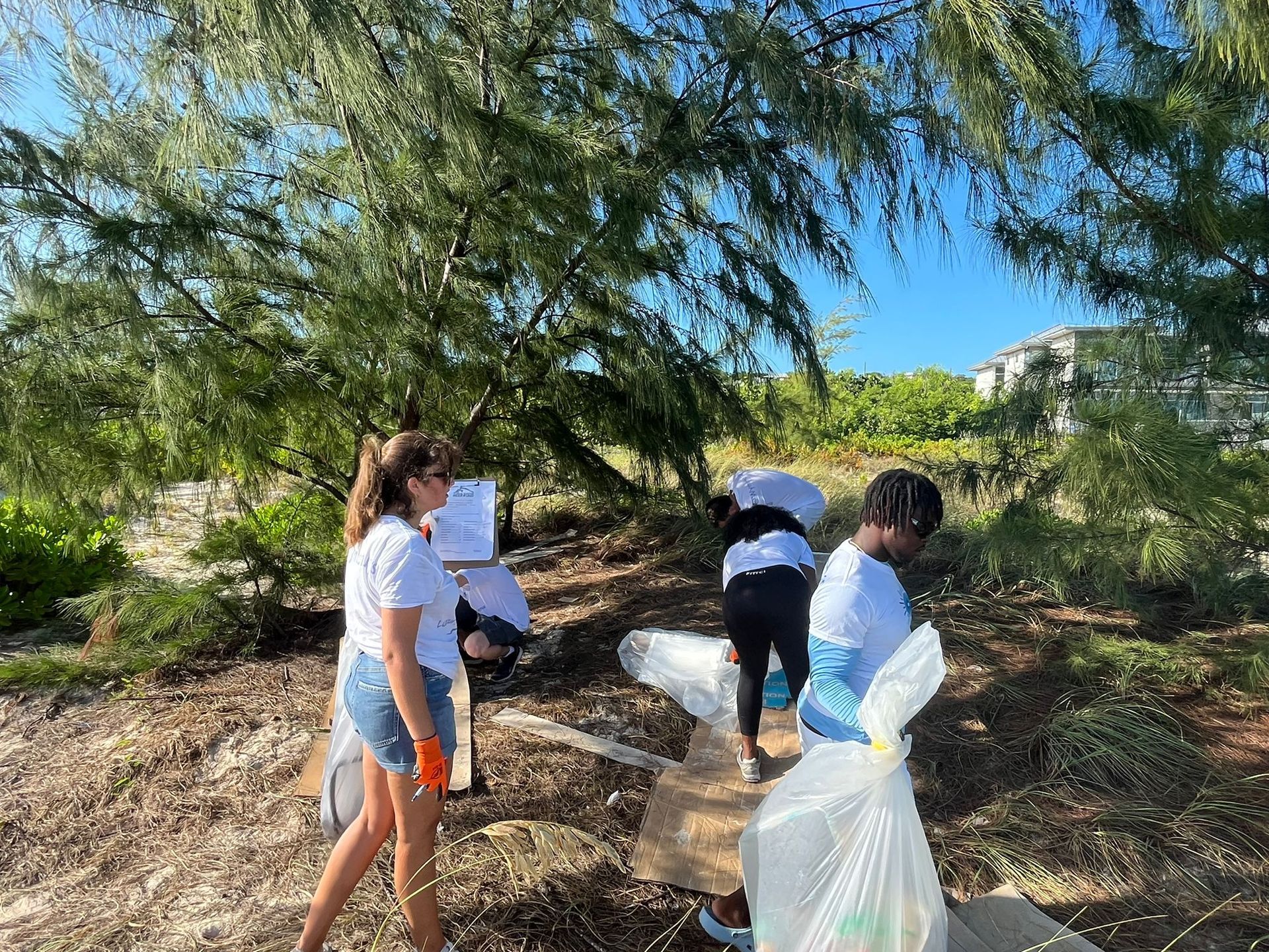 Beach Clean up project at Grace Bay