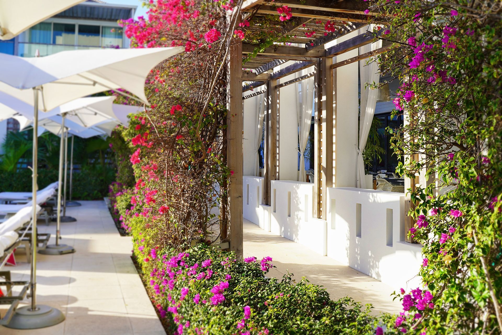 Wymara Resort + Villas, Grace Bay, Turks and Caicos