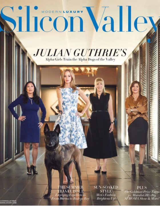 Modern Luxury Silicon Valle