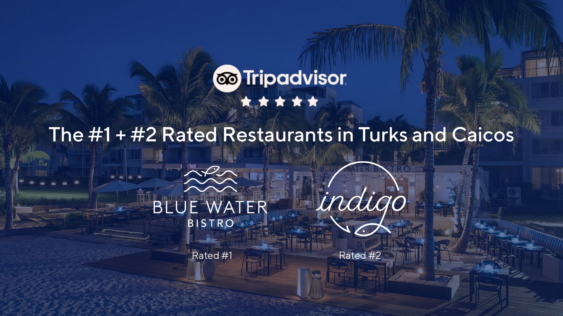 Blue water Bistro and Indigo at Wymara Resort + Villas, Turks and Caicos