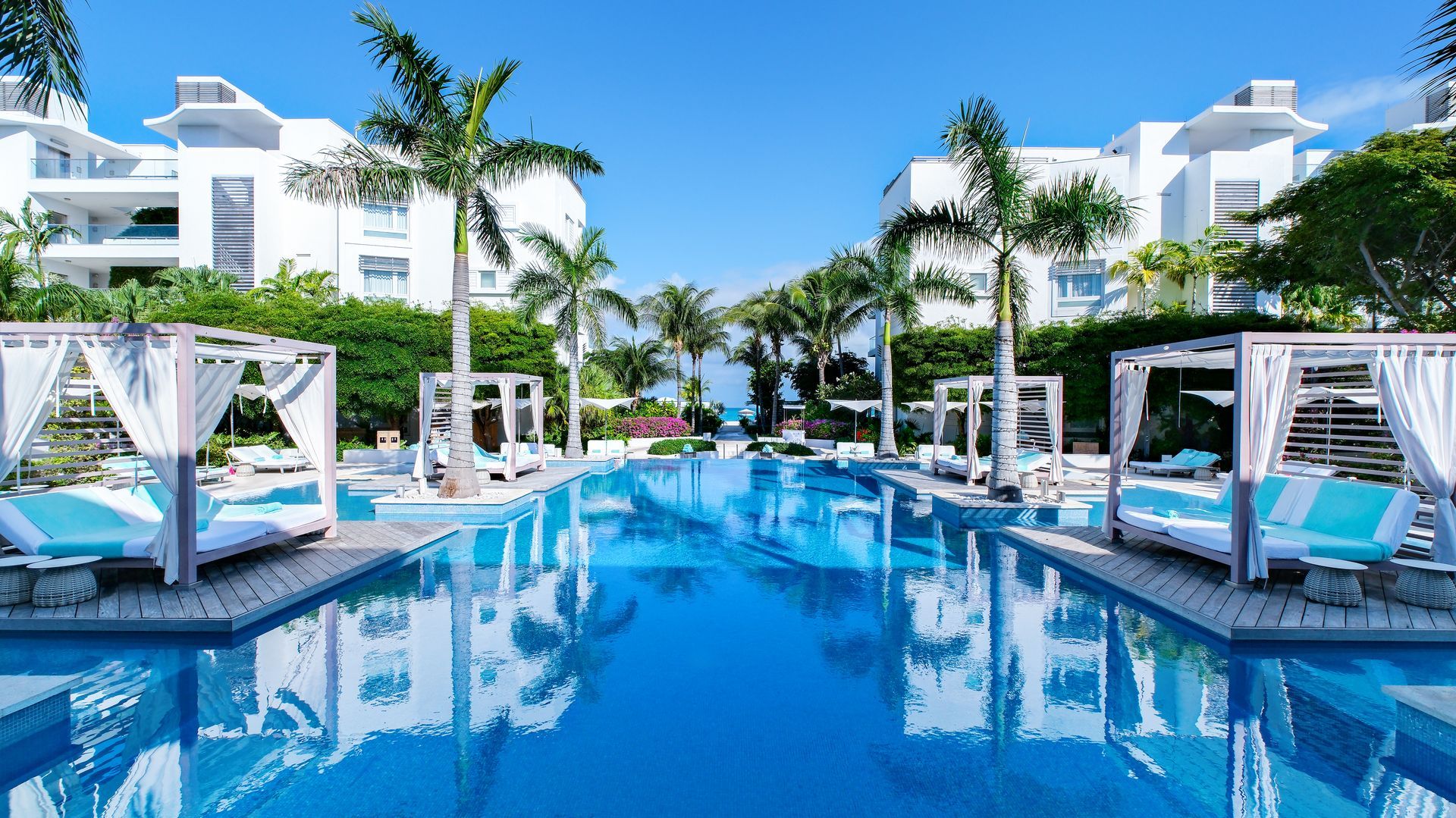 A large swimming pool with a palm tree in the middle