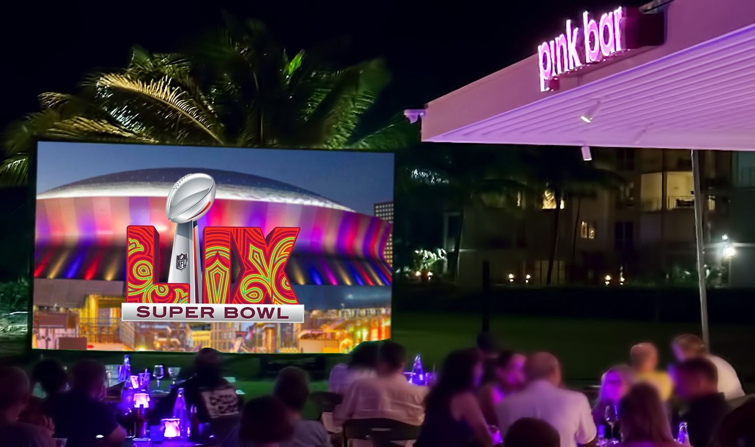 Large Screen Super Bowl Viewing Party