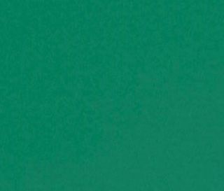 Solid emerald green background.