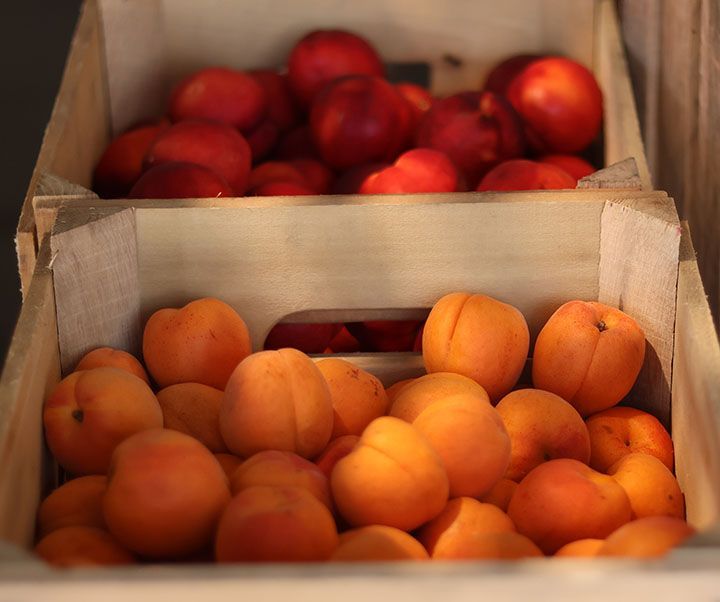 fruits and vegetable 21