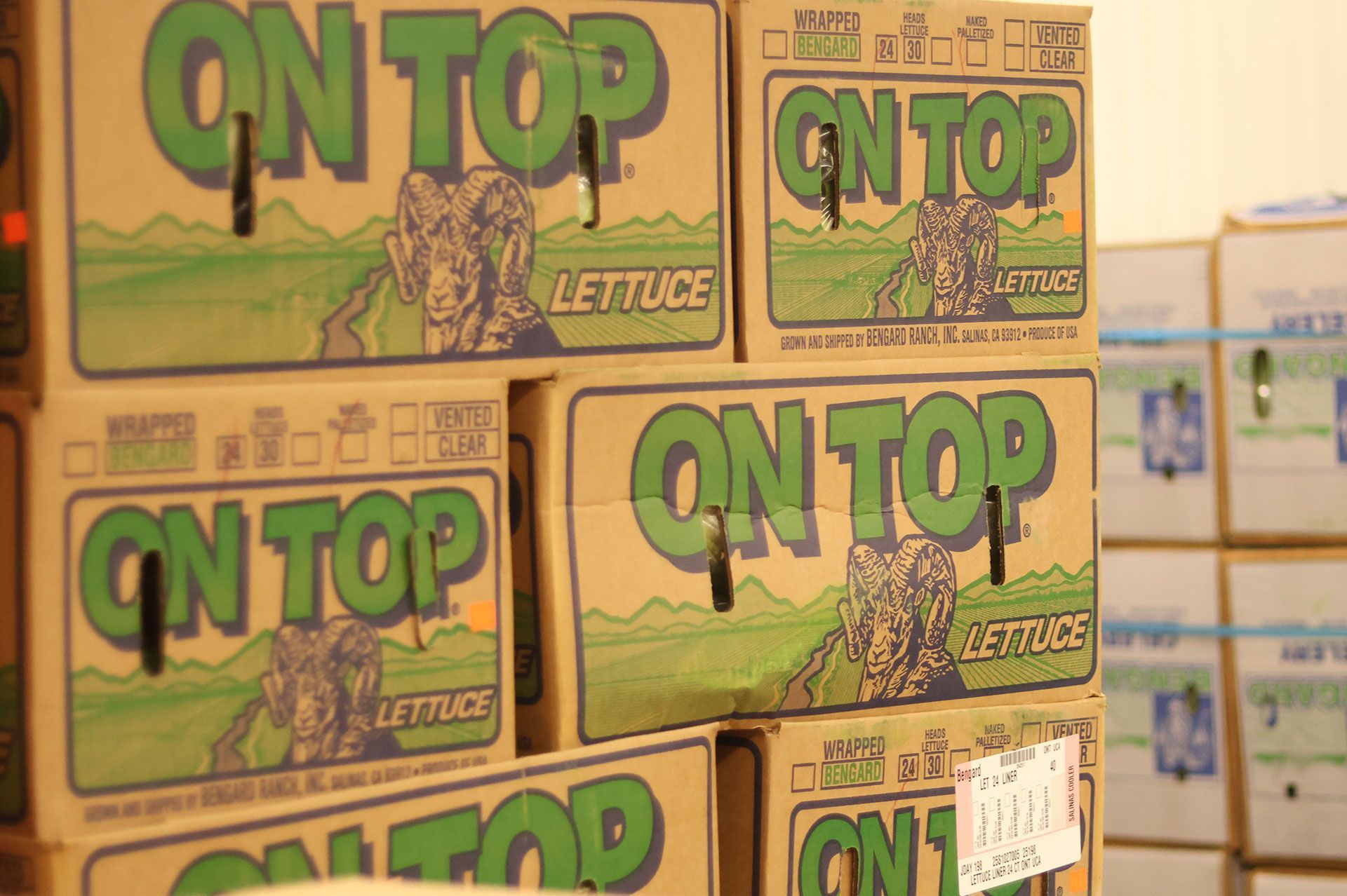 fruits and vegetable 10