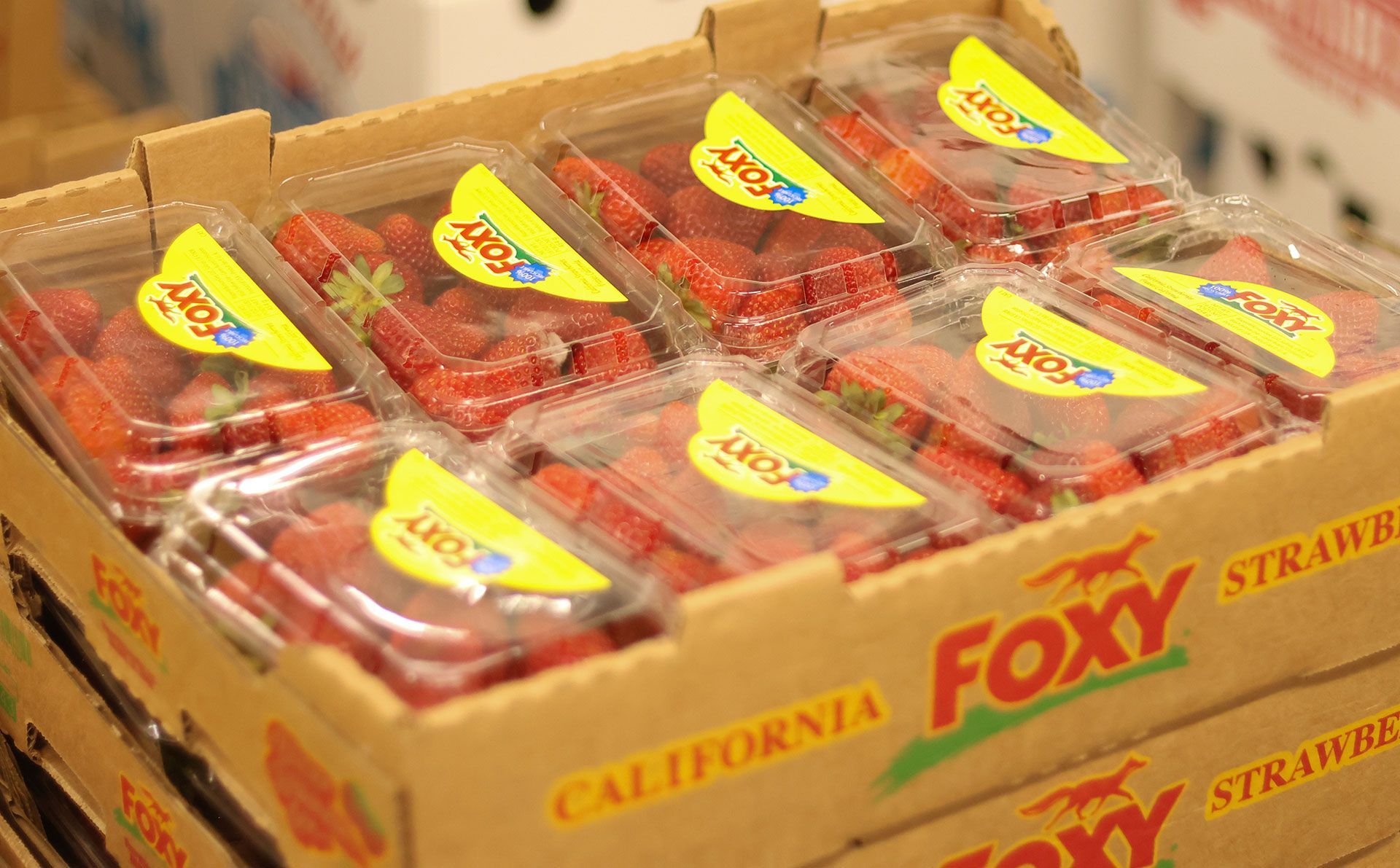 fruits and vegetable 9