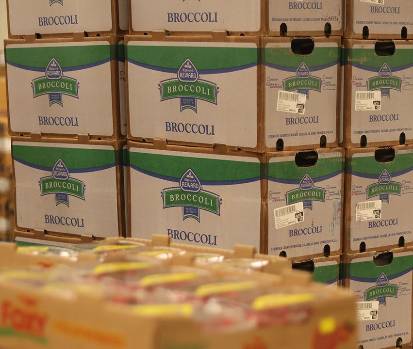 fruits and vegetable 22