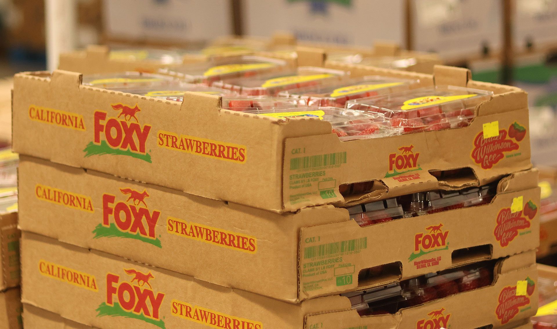 fruits and vegetable 8