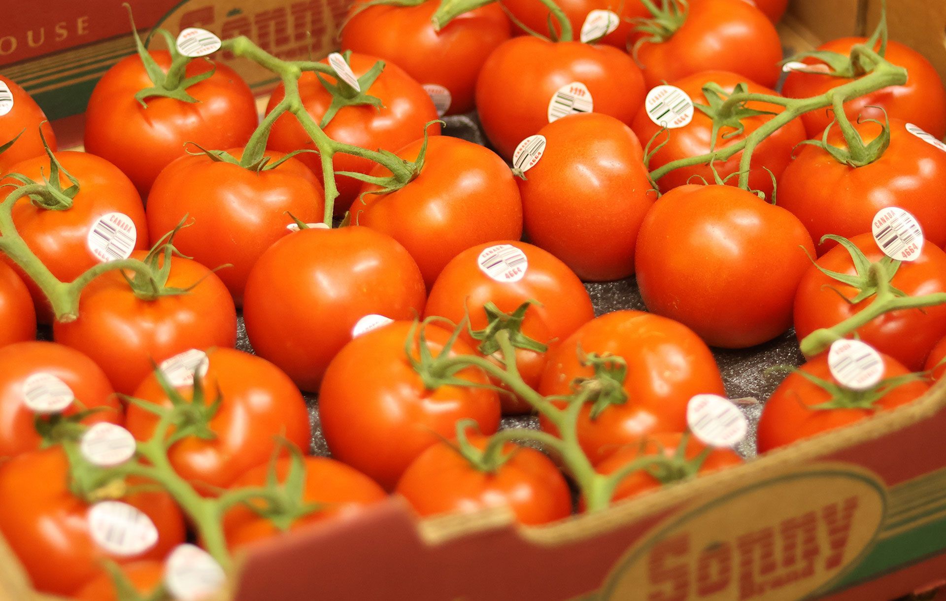 fruits and vegetable 5