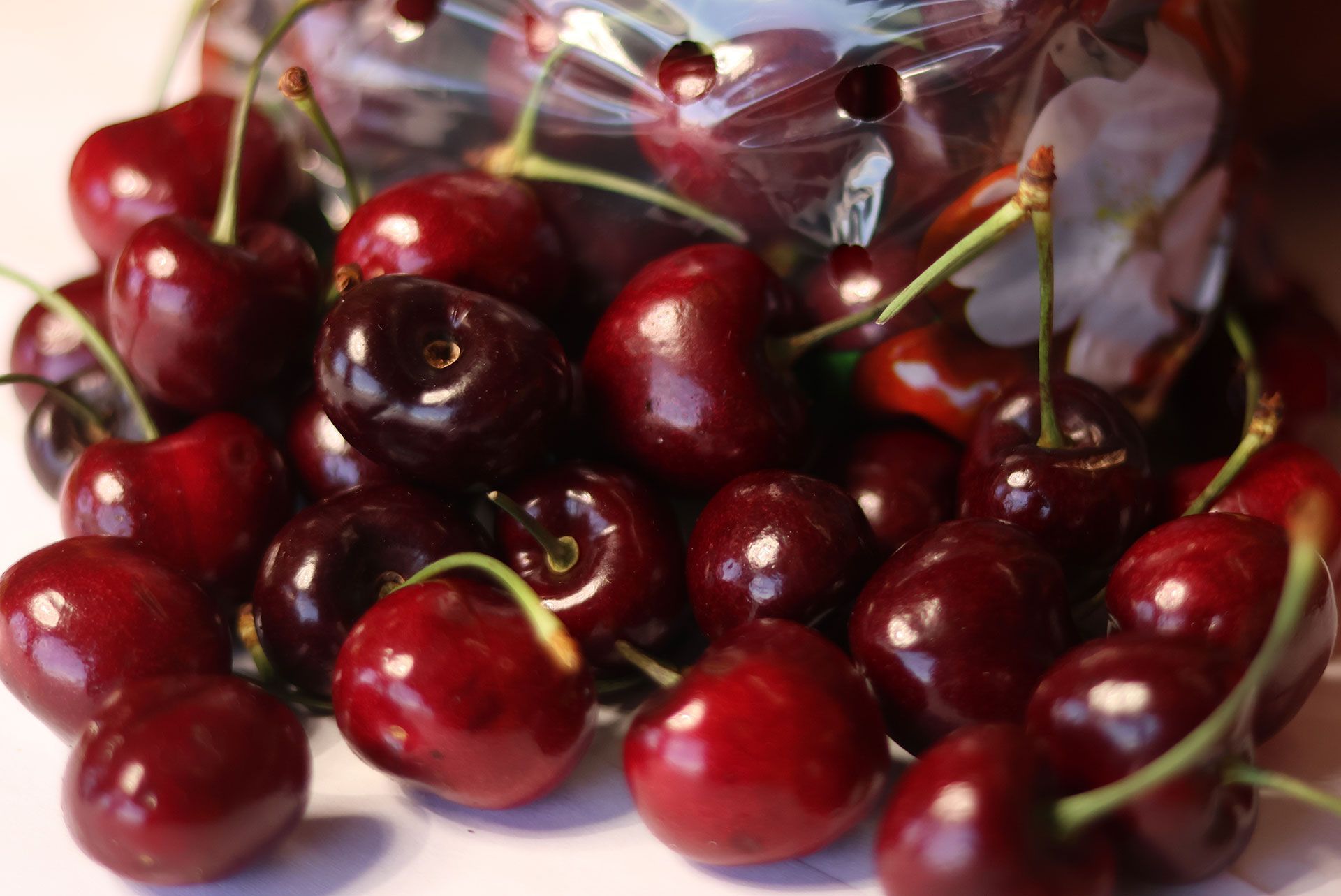 fruits and vegetable 4