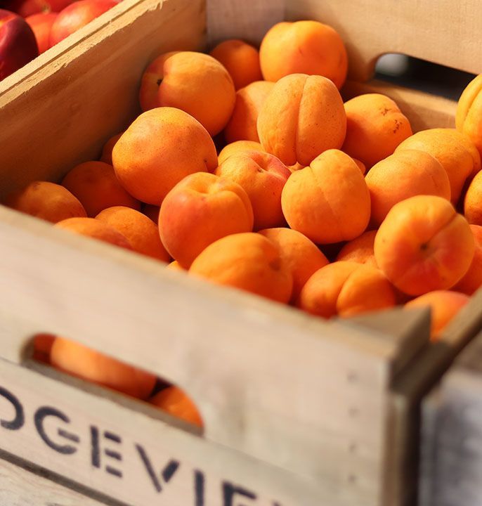 fruits and vegetable 25