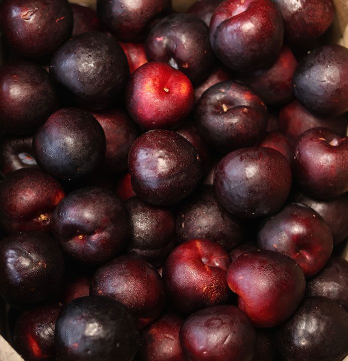 fruits and vegetable 20