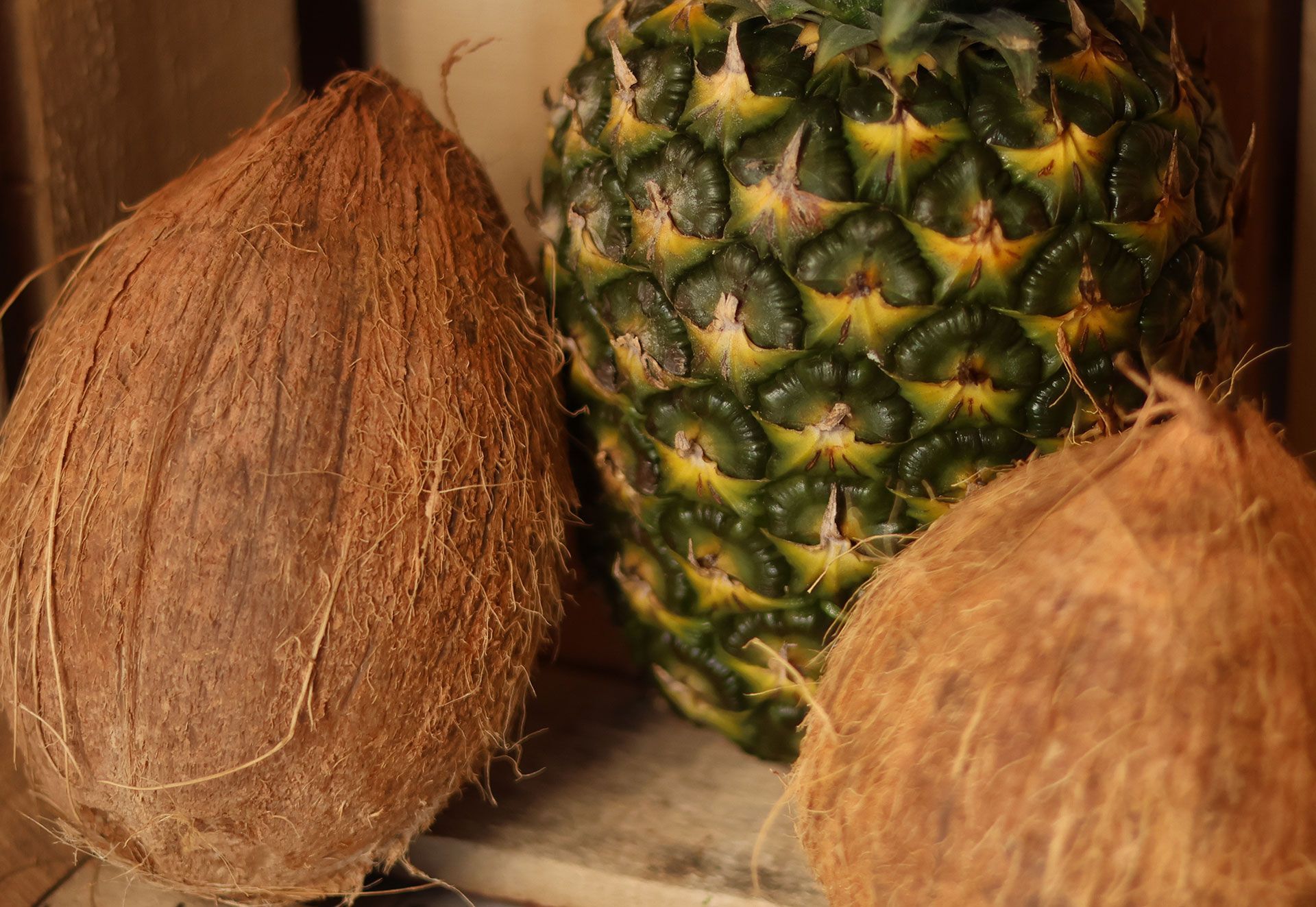 fruits and vegetable 1