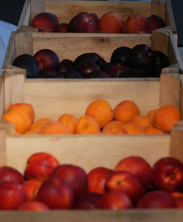 fruits and vegetable 18