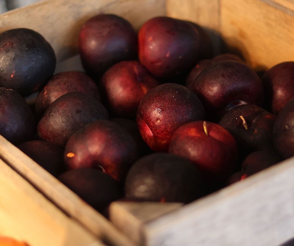 fruits and vegetable 23