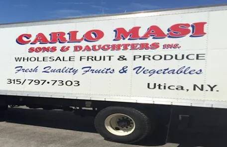 Tomato vegetables isolated on white or transparent background. One whole fresh tomato, top view