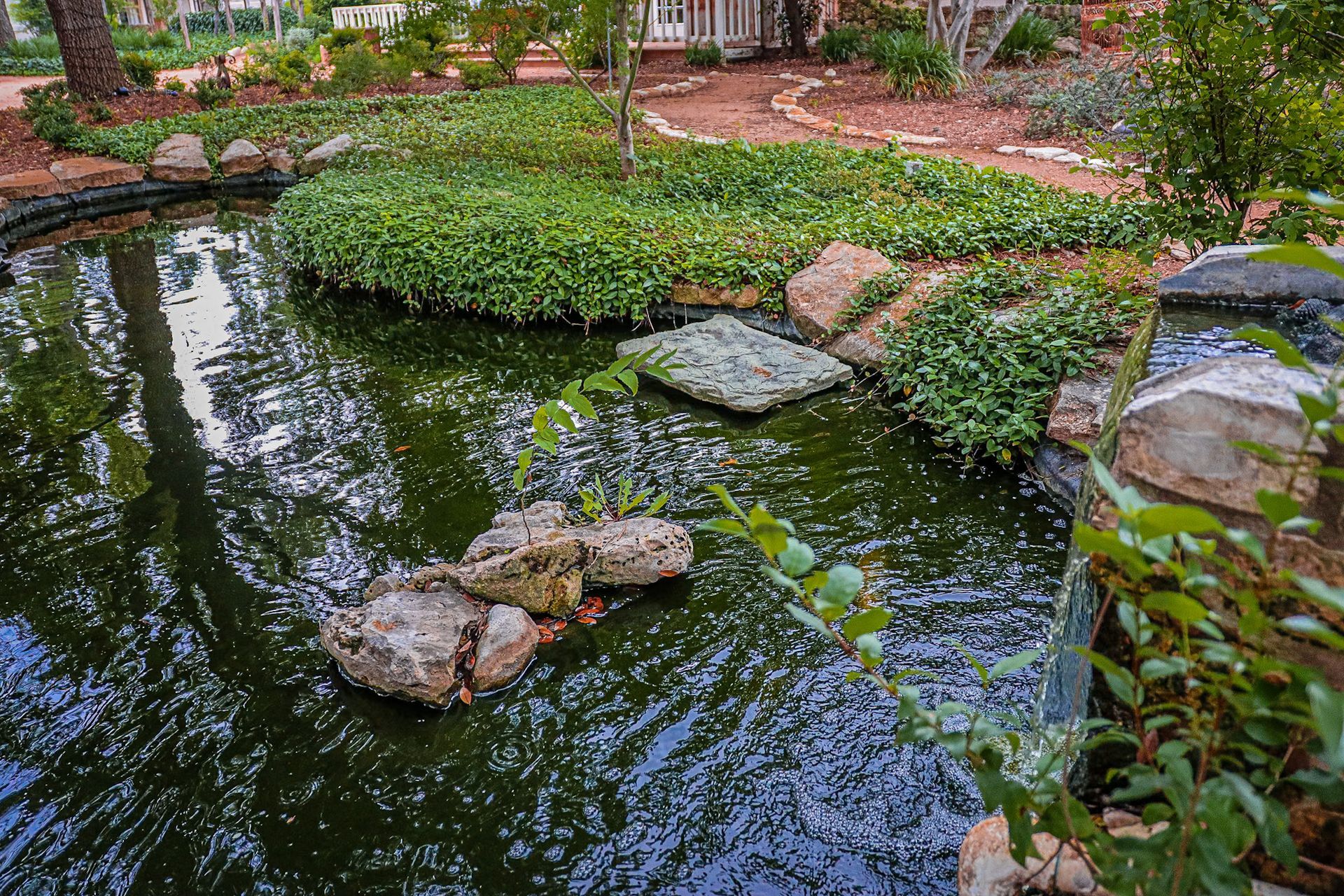 A pond with a waterfall in the middle of a garden.