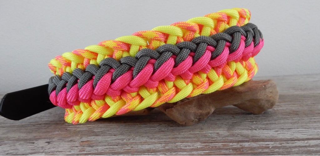 halsband lijnen honden