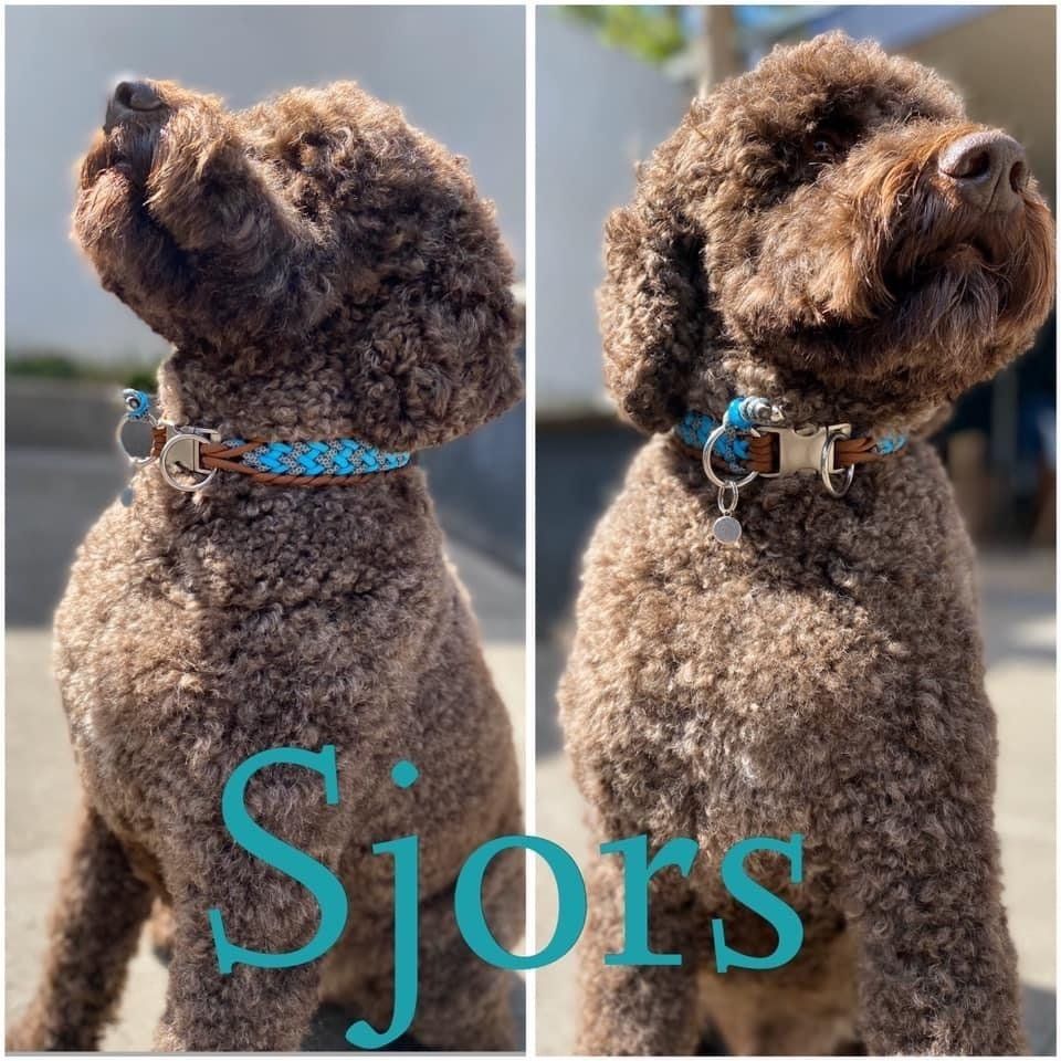 foto halsband paracord